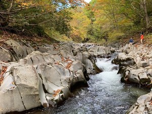 中津川渓谷2 (2)_small.jpeg